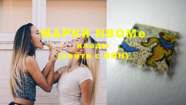 прущие грибы Заволжск