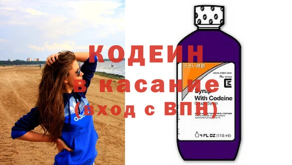 прущие грибы Заволжск