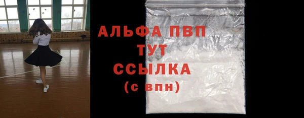 прущие грибы Заволжск