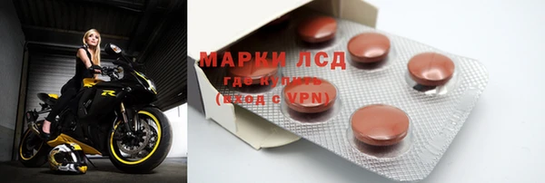 прущие грибы Заволжск