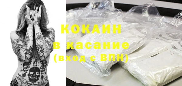прущие грибы Заволжск