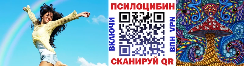 Купить где  Когалым  Галлюциногенные грибы Psilocybine cubensis 