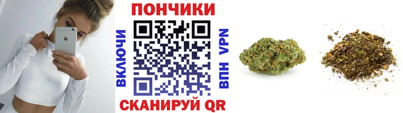 Купить  Когалым  Каннабис индика 